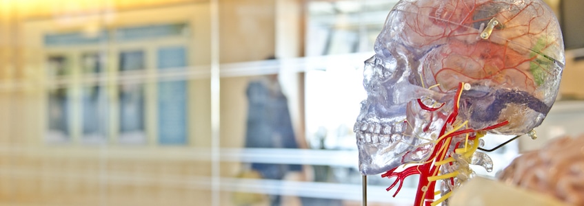 Non-traditional Medical School Applicant Tips