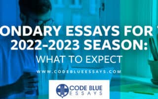 Secondary Essay
