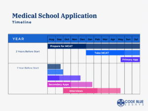 medical school application timeline