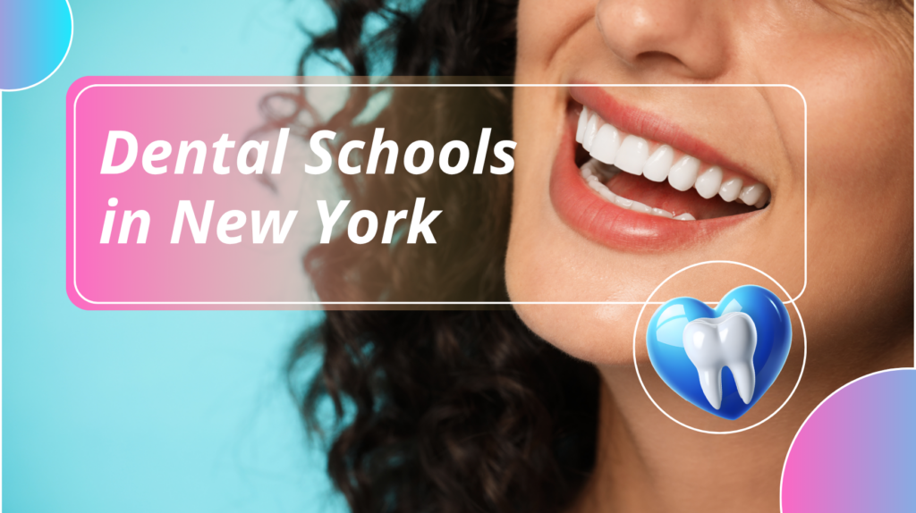 Dental Schools in New York